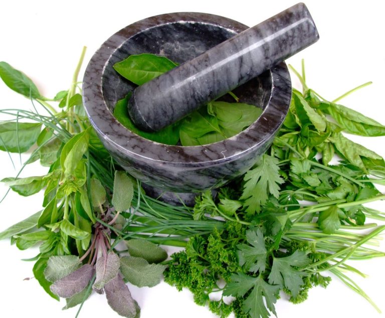 homeopathicremediesfortinnitus Best Tinnitus Treatment NYC