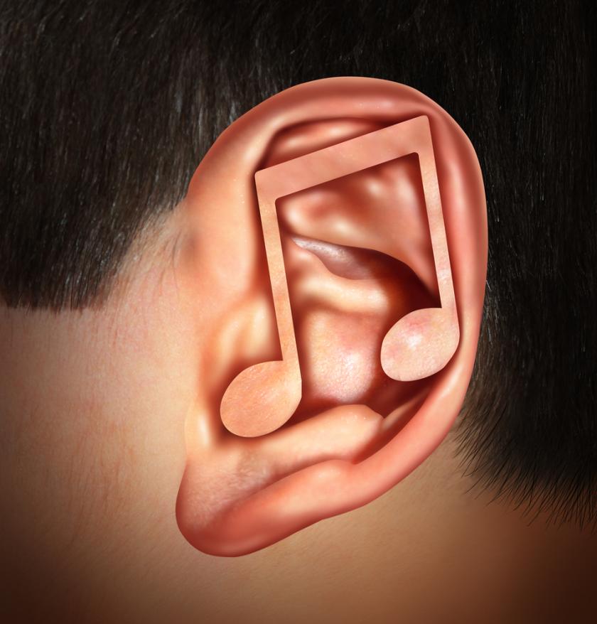 musicalhallucination Best Tinnitus Treatment NYC